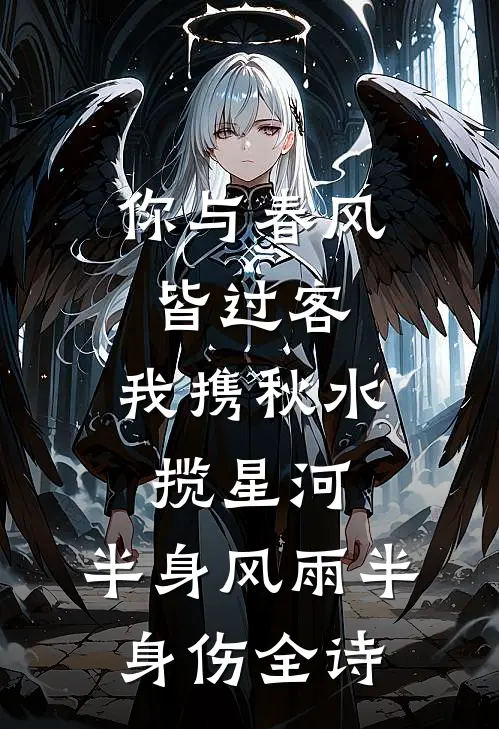 你与春风皆过客,我携秋水揽星河,半身风雨半身伤全诗